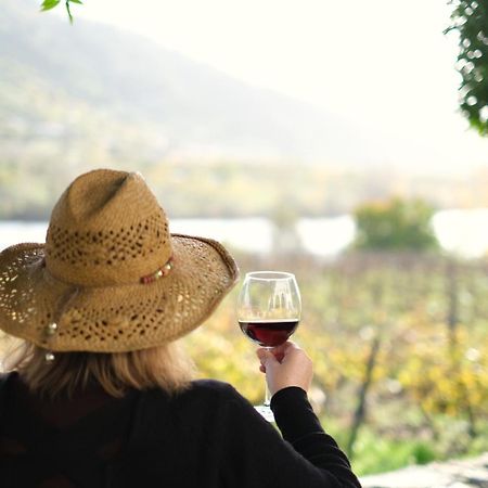 Quinta Das Casas - Douro Winery & Villas Vila Real Eksteriør bilde