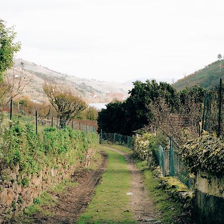 Quinta Das Casas - Douro Winery & Villas Vila Real Eksteriør bilde