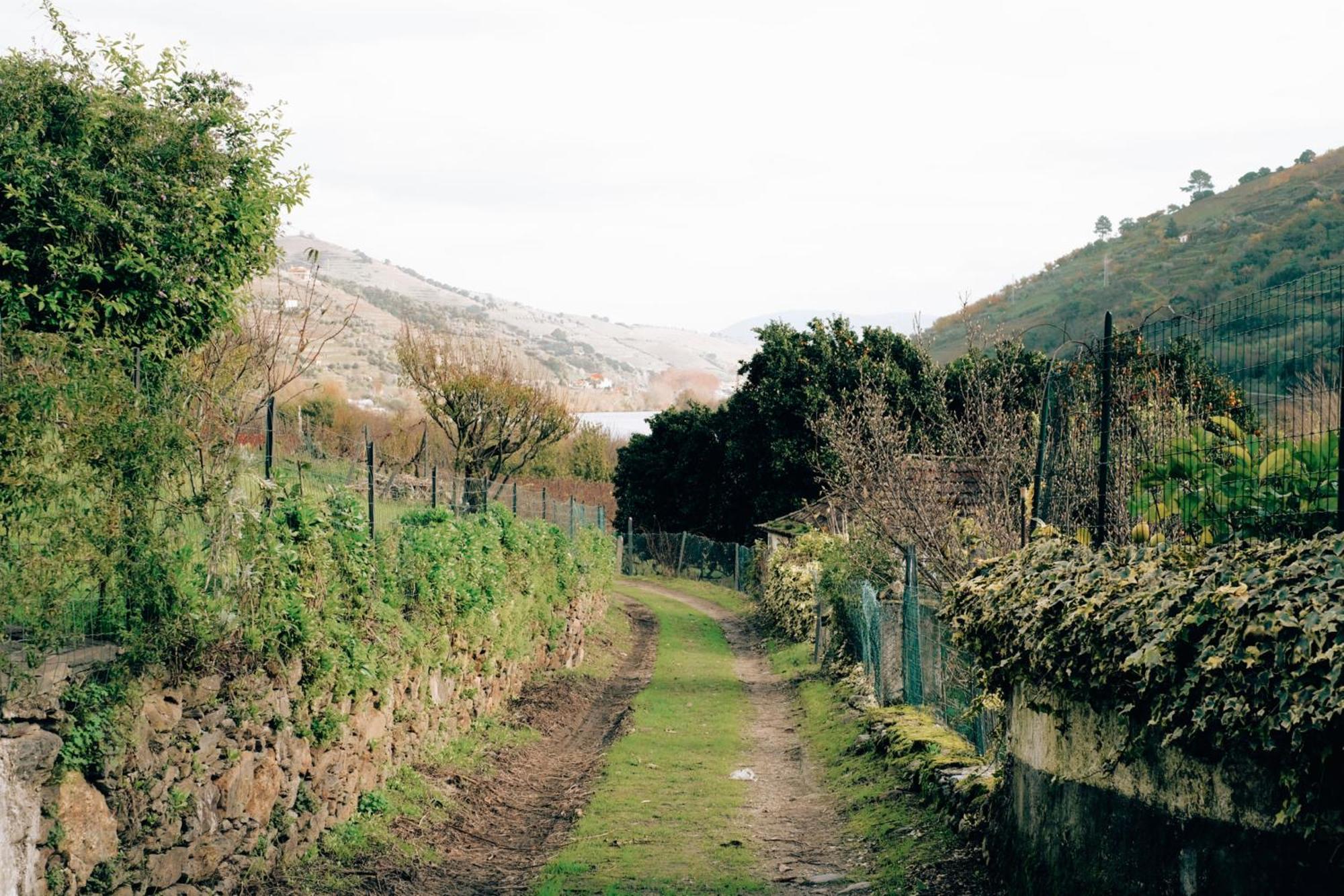 Quinta Das Casas - Douro Winery & Villas Vila Real Eksteriør bilde
